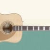 Gear Reviews