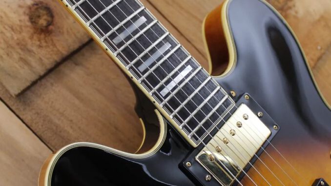 Washburn HB-35 Hollowbody Electric Guitar Review