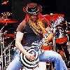 Zakk Wylde Guitar