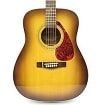 Acoustic Guitars